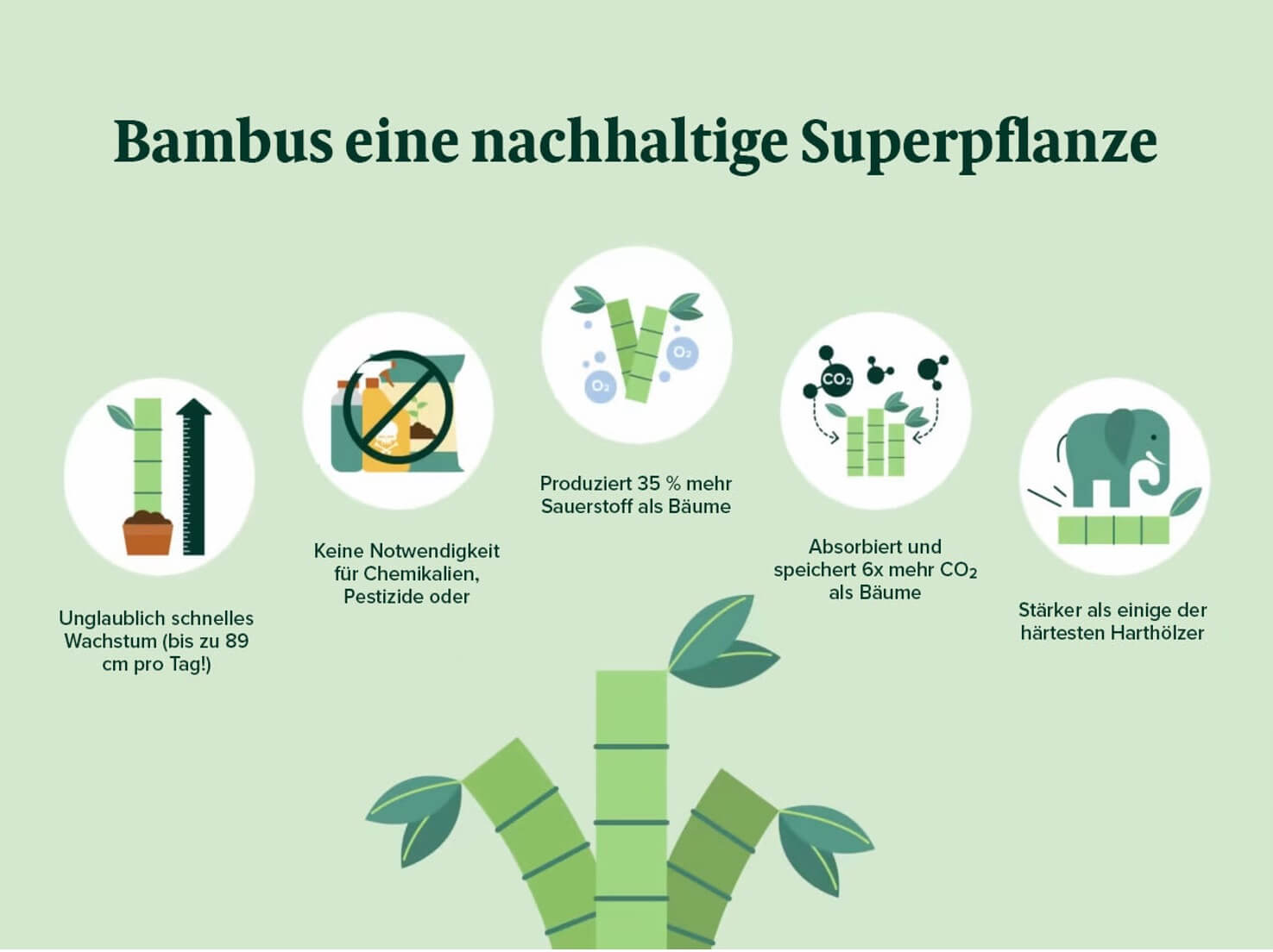 Bambusmbel  Warum der Hype um die Nachhaltigkeit echt ist  Zinus